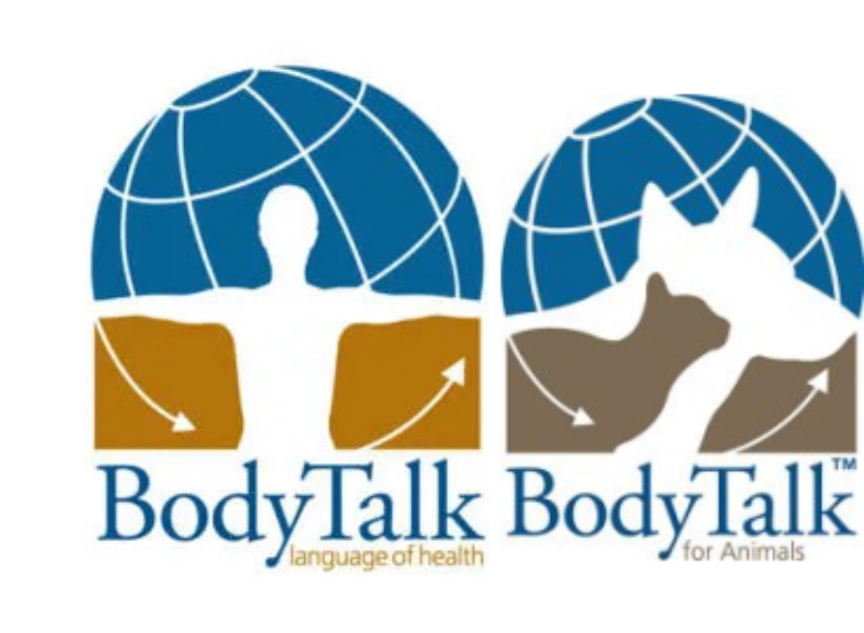 Sonja Meinke | BodyTalk & Animaltalk